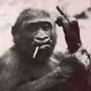 Meet your Posher, Bobby